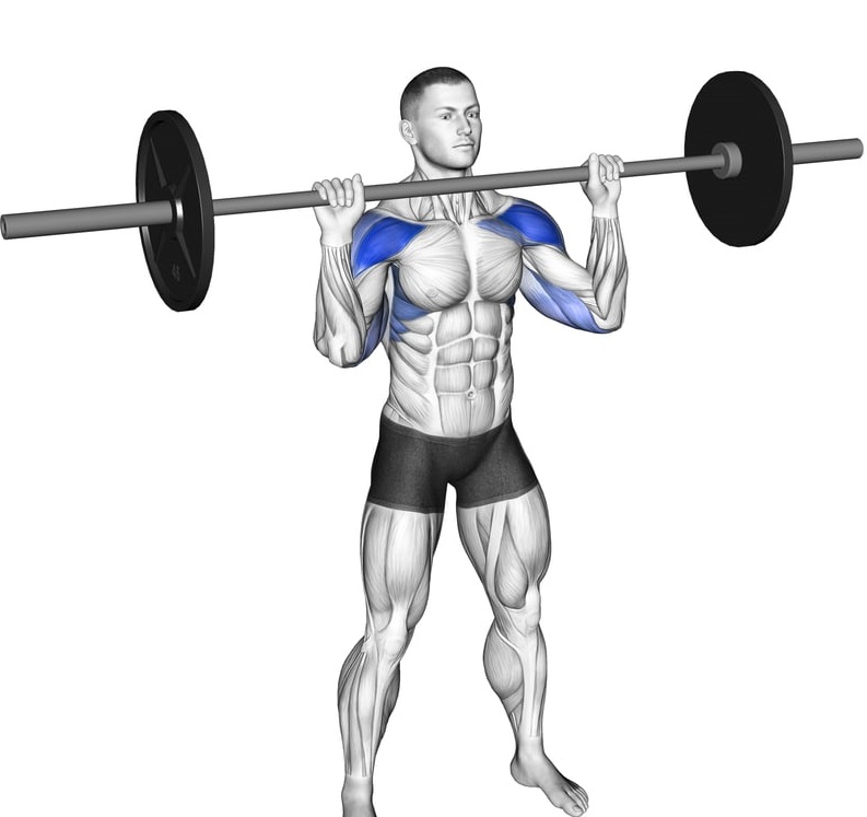 barbell shoulder press | حامدیان اسپرت