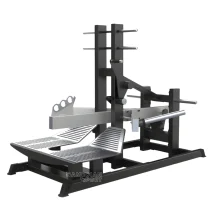 دستگاه اسکات کمربندی DHZ وارداتی مدل D601 | حامدیان اسپرت