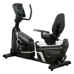 دوچرخه ثابت پشتی دار EcoFit مدل 9500 | حامدیان اسپرت
